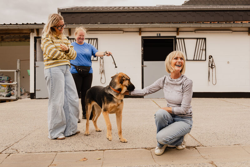 Dierendag2026 11