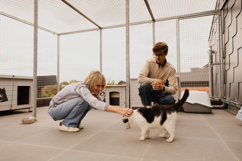 Dierendag2026 62